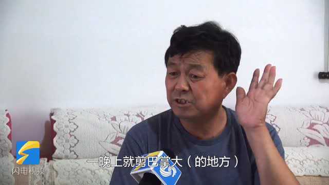 88秒|耗时一年用坏70个刀片 济南一绿化工人剪出10米《清明上河图》