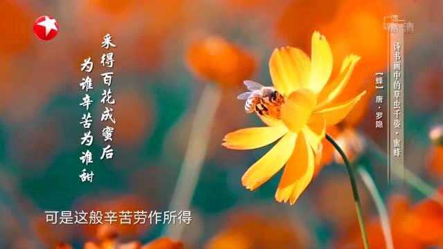 诗书画罗隐《蜂》借用蜜蜂赞美劳动人民的勤劳 20200831