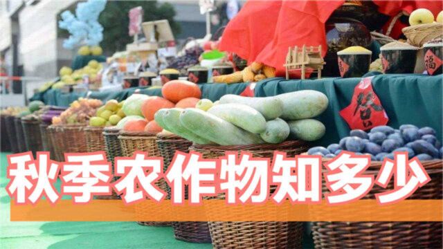 「中国农民丰收节」已至,那你知道秋天是哪些农作物吗?你还记得清吗?