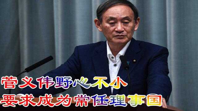 菅义伟野心不小,打着保护世界和平的口号,要求成为常任理事国