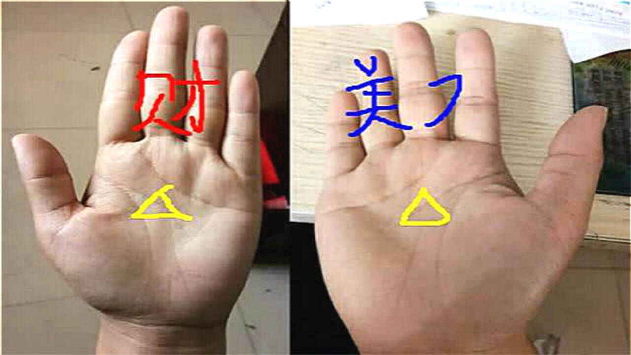 罕见凤尾纹手纹女人四奇纹很少有元宝纹有金库三角绝对会暴富