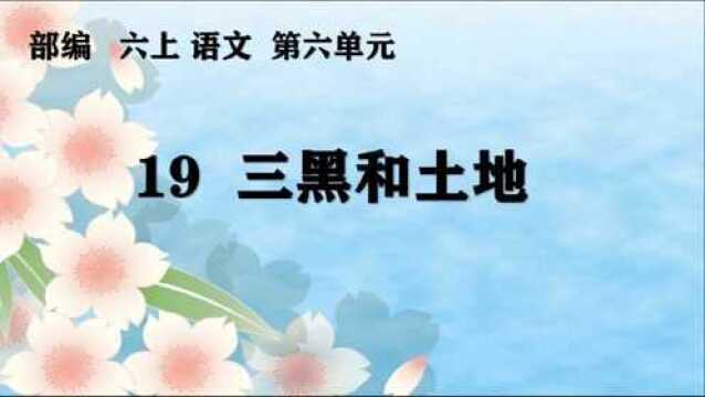 部编六上语文第六单元19三黑和土地