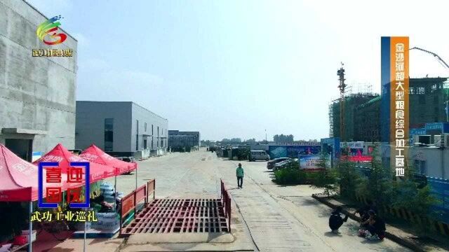 喜迎国庆 武功工业巡礼金沙河超大型粮食综合加工基地