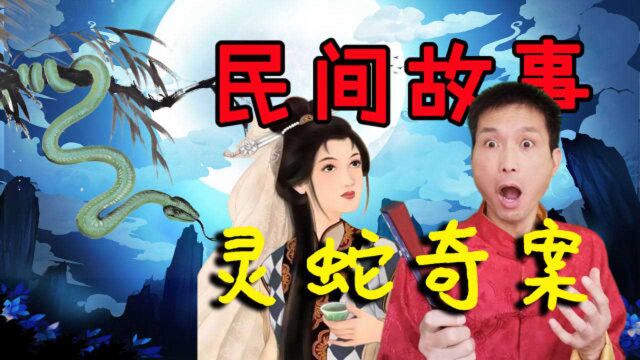 民间传说故事:蛇画显灵,跳出画外伤人,连作大案