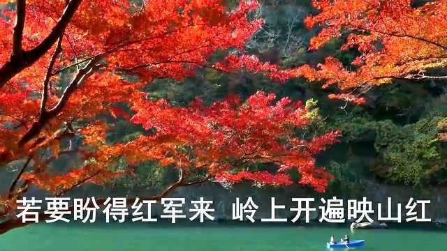 经典歌曲《映山红》真是太好听了