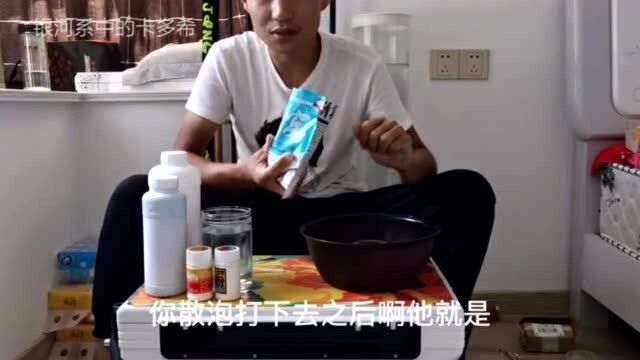 又是一款:将被很多钓场禁用的饵料!同样是因为中鱼率过高.