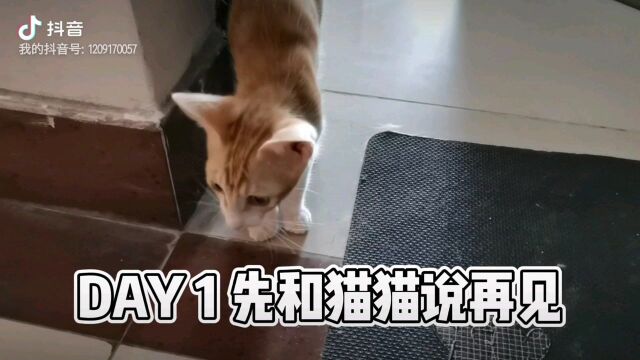 珠海旅行vlog#旅行vlog#