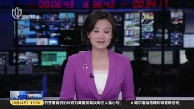 进博会:深耕中国市场 德国永恒力“网红”展品本土化升级