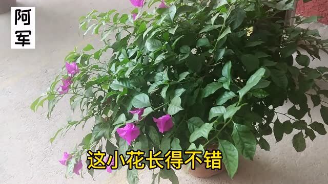 分享下我的工地日常生活,这就是我每天的工作