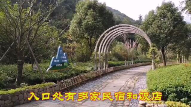 传世名画《富春山居图》实景地,这里的空气有点“甜”!