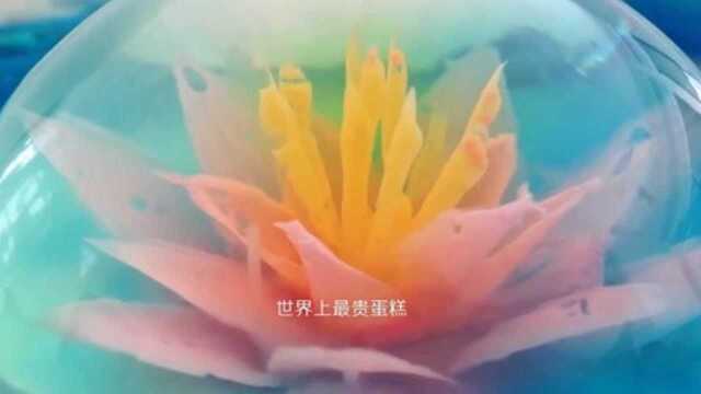 世界上最贵的蛋糕,小小一份就要两千元