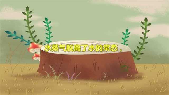 八字算命: 层次高的人.