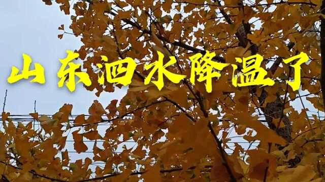 山东济宁泗水,今天早上雨夹雪气温骤降,好冷啊