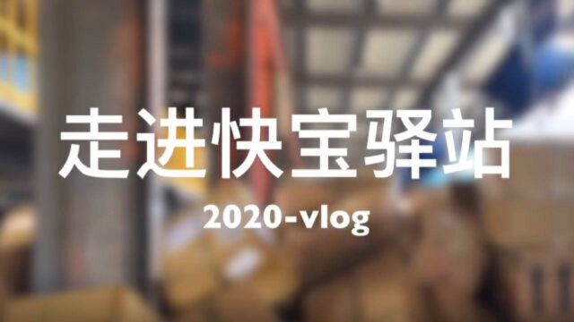 快宝驿站2020双11vlog