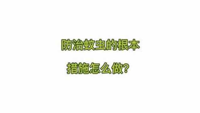 防治蚊虫根本措施是什么?