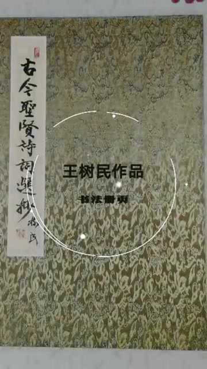 王树民书法--册页欣赏
