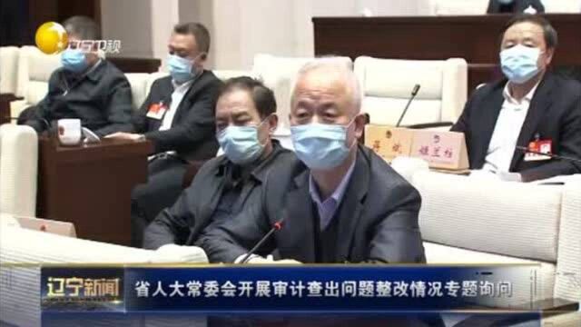 辽宁省人大常委会开展审计查出问题整改情况专题询问