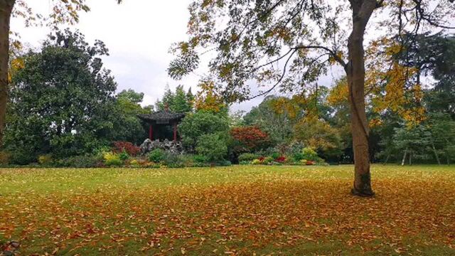 杭州花港观鱼公园,景色宜人,是西湖十景之一