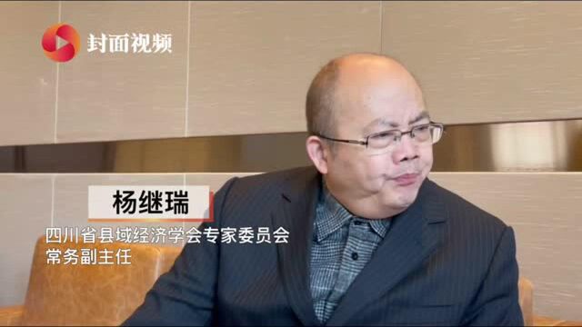 四川省县域经济学会专家委员会常务副主任杨继瑞:县域经济高质量发展需紧扣五个关键词