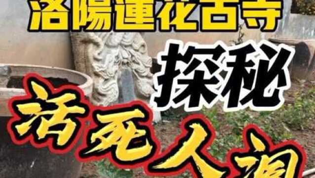 洛阳千年莲花古寺,神秘地宫重见天日