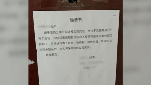 被清退就住车里,蛋壳青年真的好难