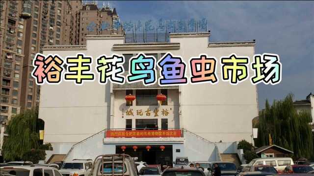 合肥市一环路内、淝河之滨的裕丰花鸟鱼虫市场