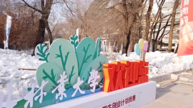 第十二届“挑战杯”中国大学生创业计划竞赛圆满落幕