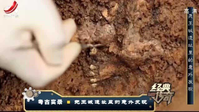 尧王城遗址惊喜不断,方形玉璧与玉斧相继出土,研究价值极高