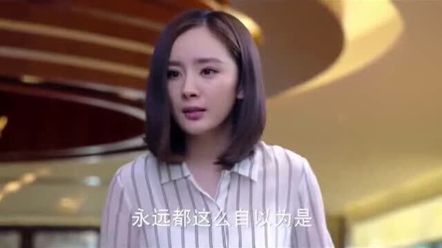 亲爱的翻译官8集:主任误会乔菲,没想到竟是这开始,看到最后我方了!