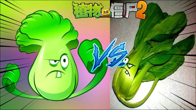 Pvz游戏植物pk现实植物 当现实植物换上游戏表情包?