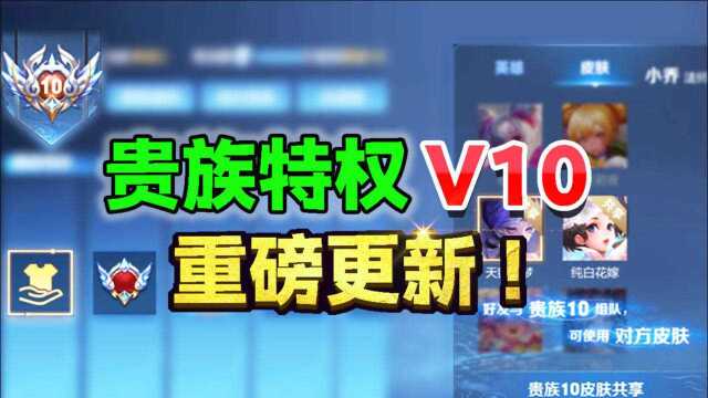 王者荣耀:光子又整新花样了!全新贵族系统,V10等级重磅推出!