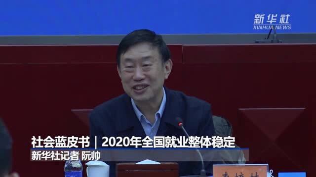 社会蓝皮书|2020年全国就业整体稳定