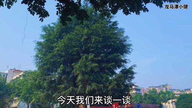 探寻大泸州江阳区大梯步文化广场