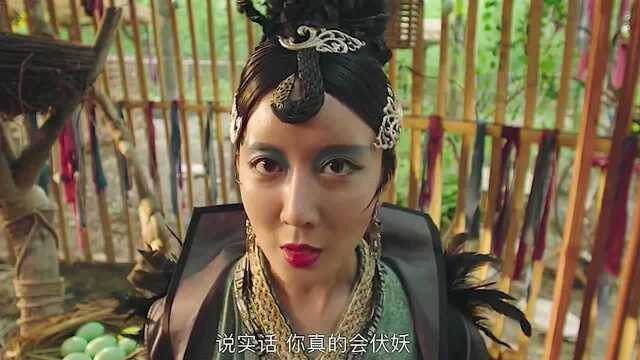 鸡精到底是什么东西