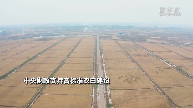 财经网来|中央财政支持高标准农田建设