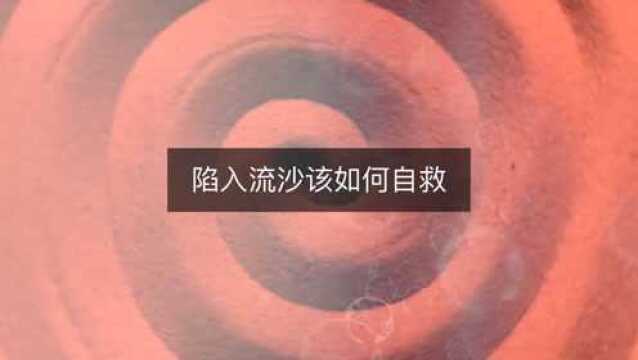 陷入流沙该如何进行自救?一定要学会!