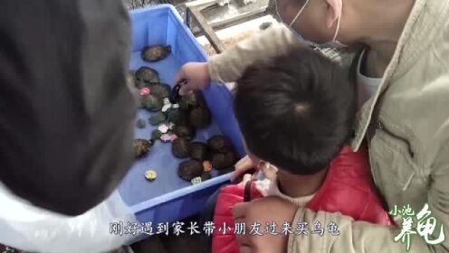 Thumbplayer Poster Plugin Image