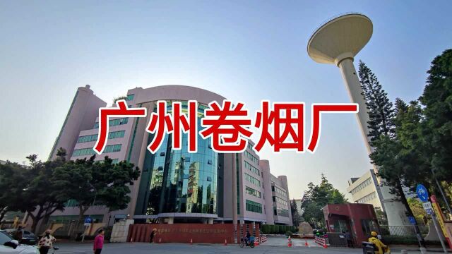 实拍广州卷烟厂,俗称“印钞厂”,里面的员工都开上了小车