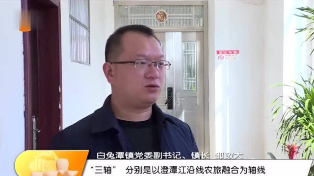 【贯彻落实全会精神】白兔潭镇:集聚“双重效应”,推动高质量发展