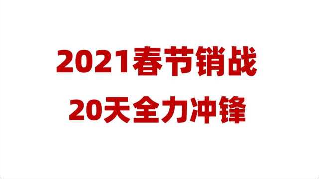 2021春节销战