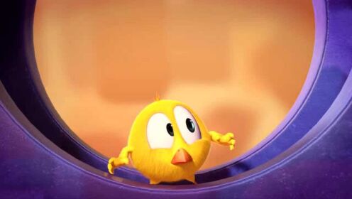 小鸡Jaki：每次都猜不到小黄鸡在哪