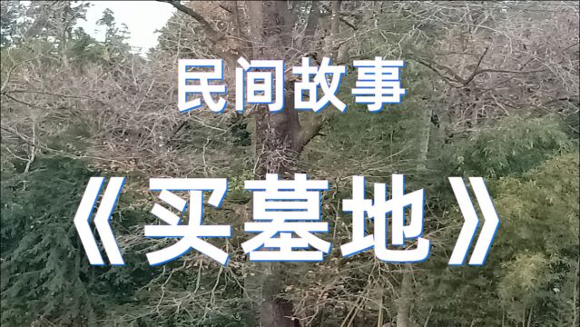 民间故事《买墓地》李富贵突然有一天跑过来说是要定一块墓地