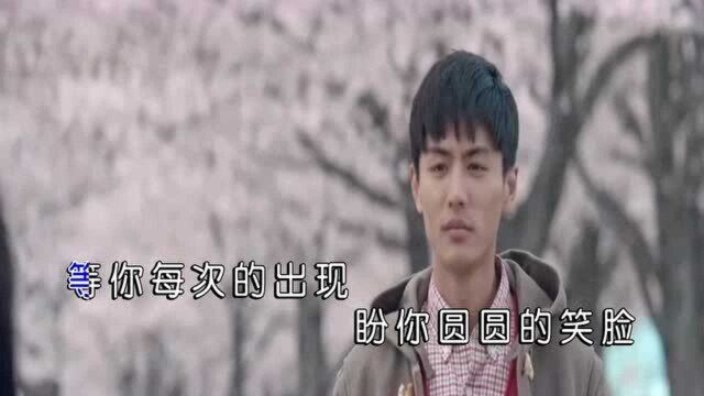 华心  等MTV