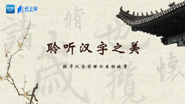 聆听汉字之美:《花草字传》,了解“朱”