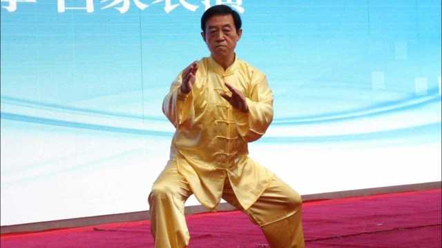 陈氏太极拳老架一路74式 陈正雷完整表演(值得收藏)