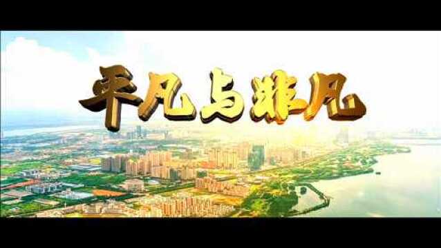 《平凡与非凡》南昌高新区昌东镇2020年总结片