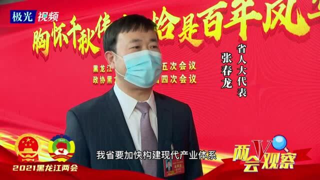 两会V观察丨省人大代表张春龙:加快构建龙江现代产业体系