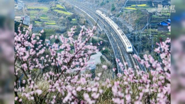 镜观中国ⷦ–𐥍Ž社国内新闻照片一周精选