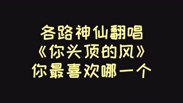 各路神仙唱爆火《你头顶的风》,赵芷彤唱的太好听了!单曲循环了