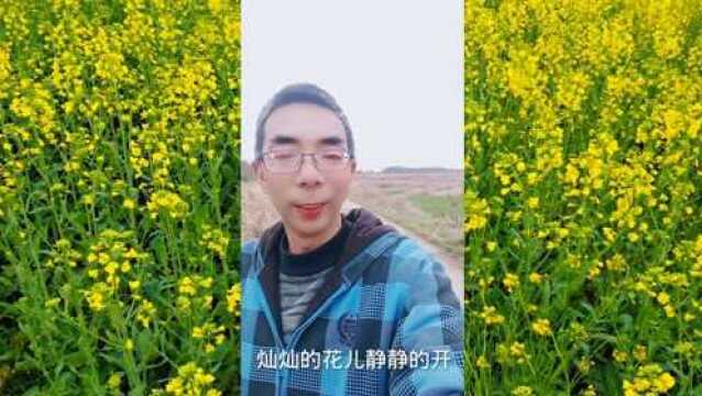 灿灿的花儿静静的开